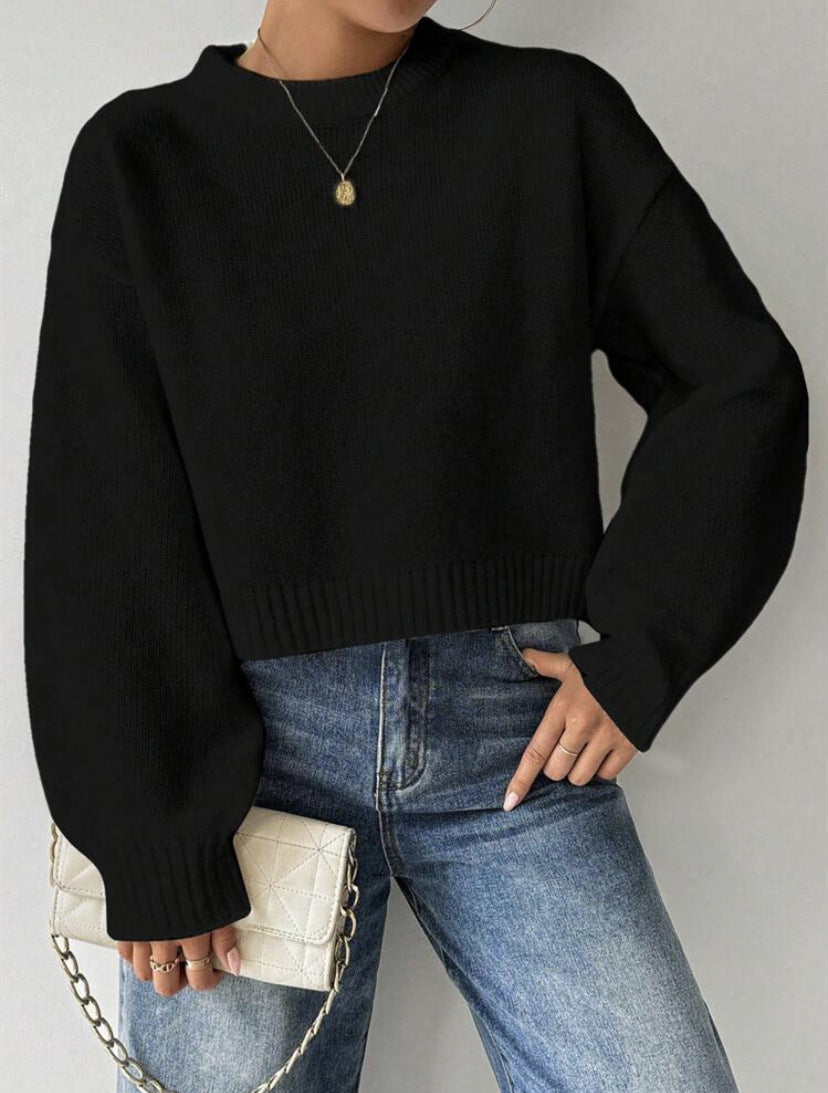 Damen Feinstrickpullover Langarm mit Rundhalsausschnitt Jully