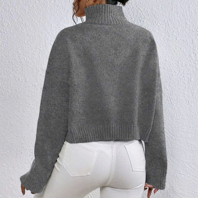 Damen Kragenpullover Langarm mit hohem Kragen Jully