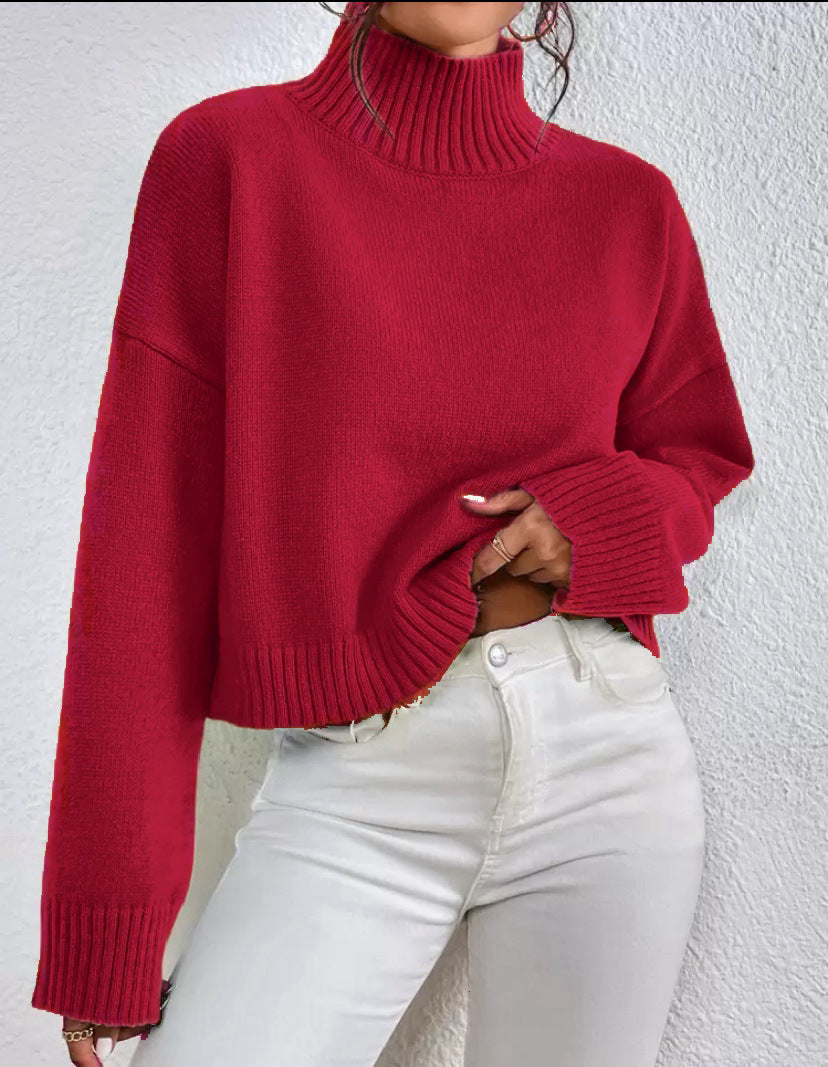 Damen Kragenpullover Langarm mit hohem Kragen Jully