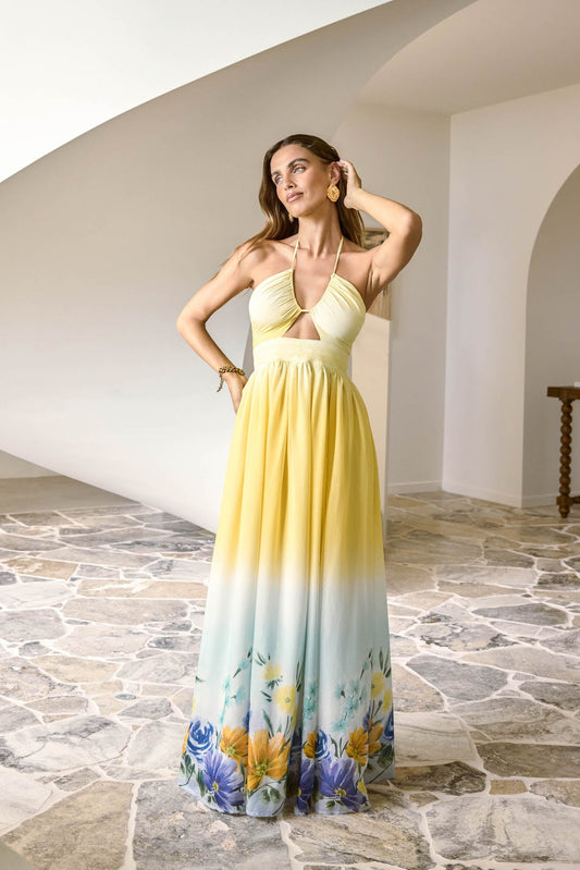 Damen Maxikleid mit Neckholder und Blumen-Ombre Jully